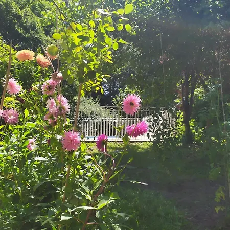 Nane , Le De La Serenite Noaillan