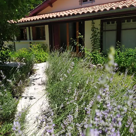 Nane , Le De La Serenite Ferienhaus *