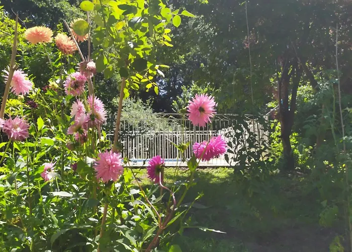 Nane , Le De La Serenite Noaillan