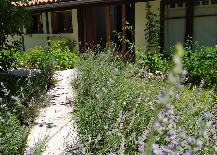 Nane , Le De La Serenite 別荘 *